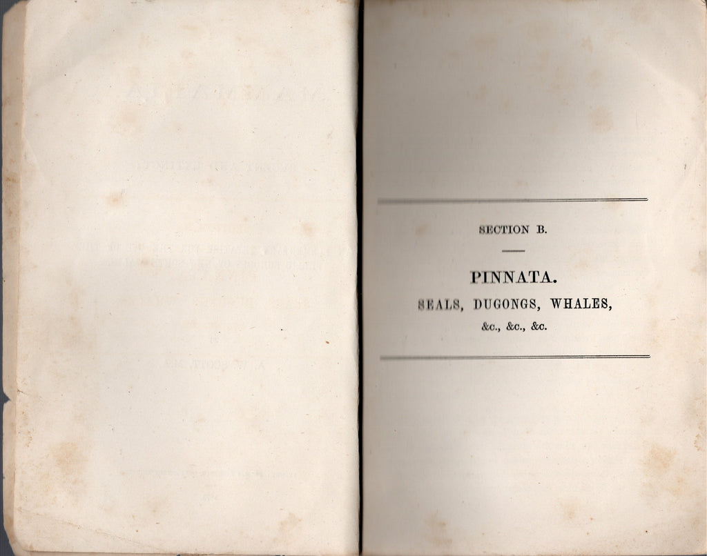 Mammalia, Recent and Extinct : An Elementary Treatise for the use of the Public Schools of New South Wales