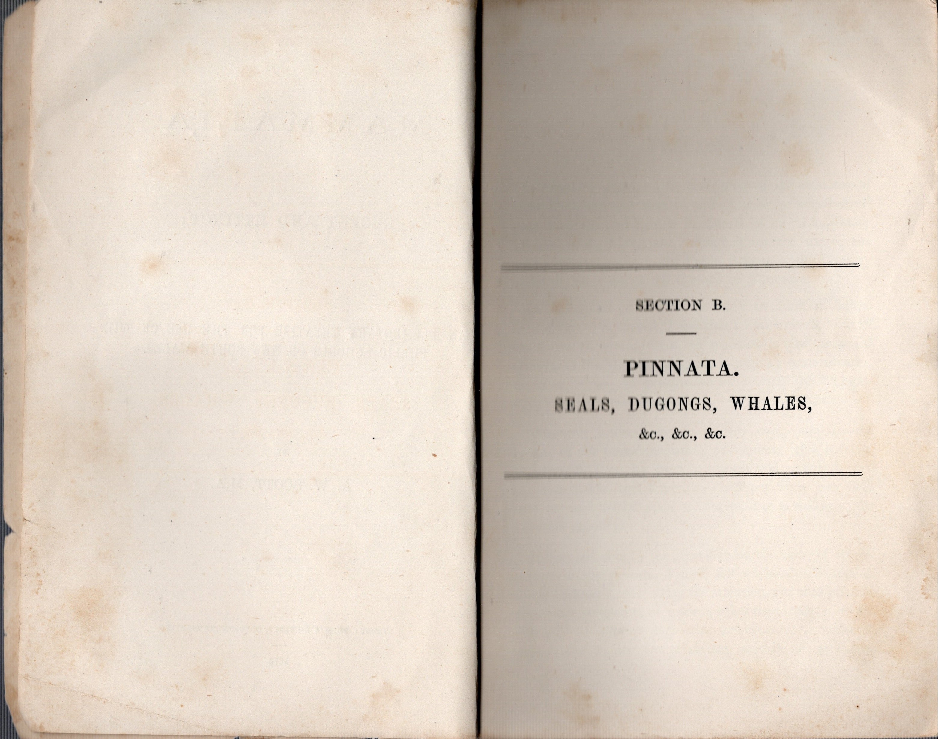 Mammalia, Recent and Extinct : An Elementary Treatise for the use of the Public Schools of New South Wales