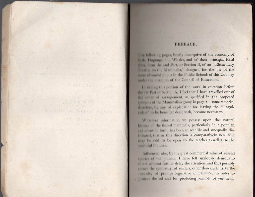Mammalia, Recent and Extinct : An Elementary Treatise for the use of the Public Schools of New South Wales