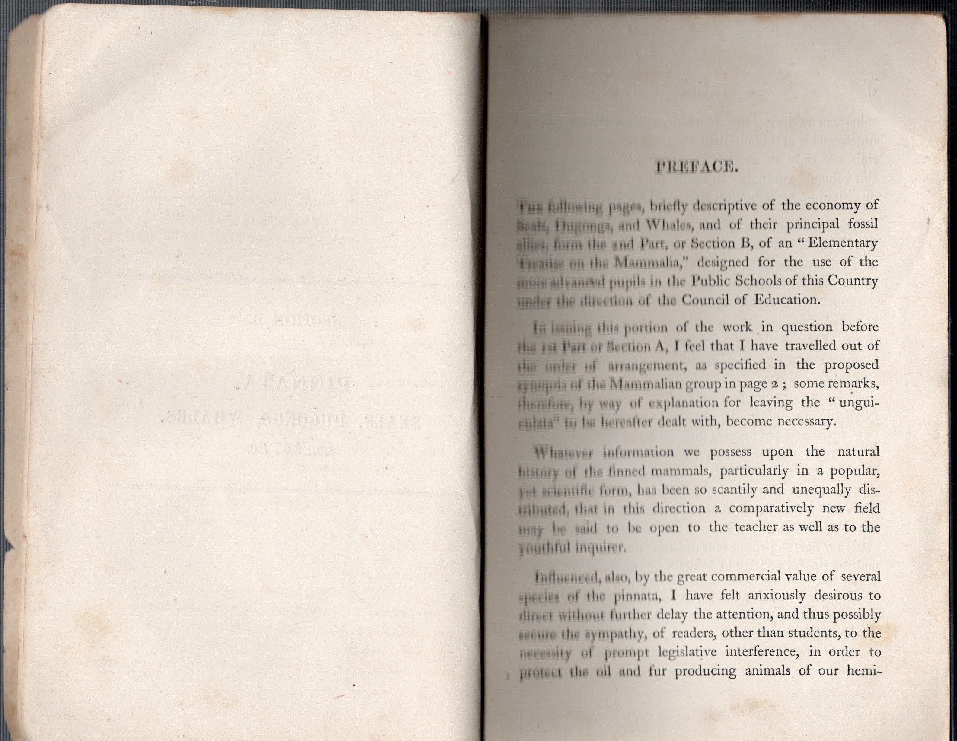Mammalia, Recent and Extinct : An Elementary Treatise for the use of the Public Schools of New South Wales