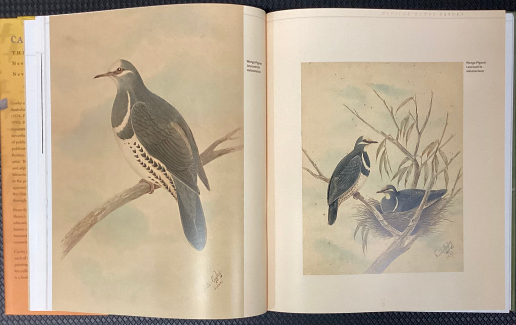 Cayley and Son: The Life and Art of Neville Henry Cayley and Neville William Cayley