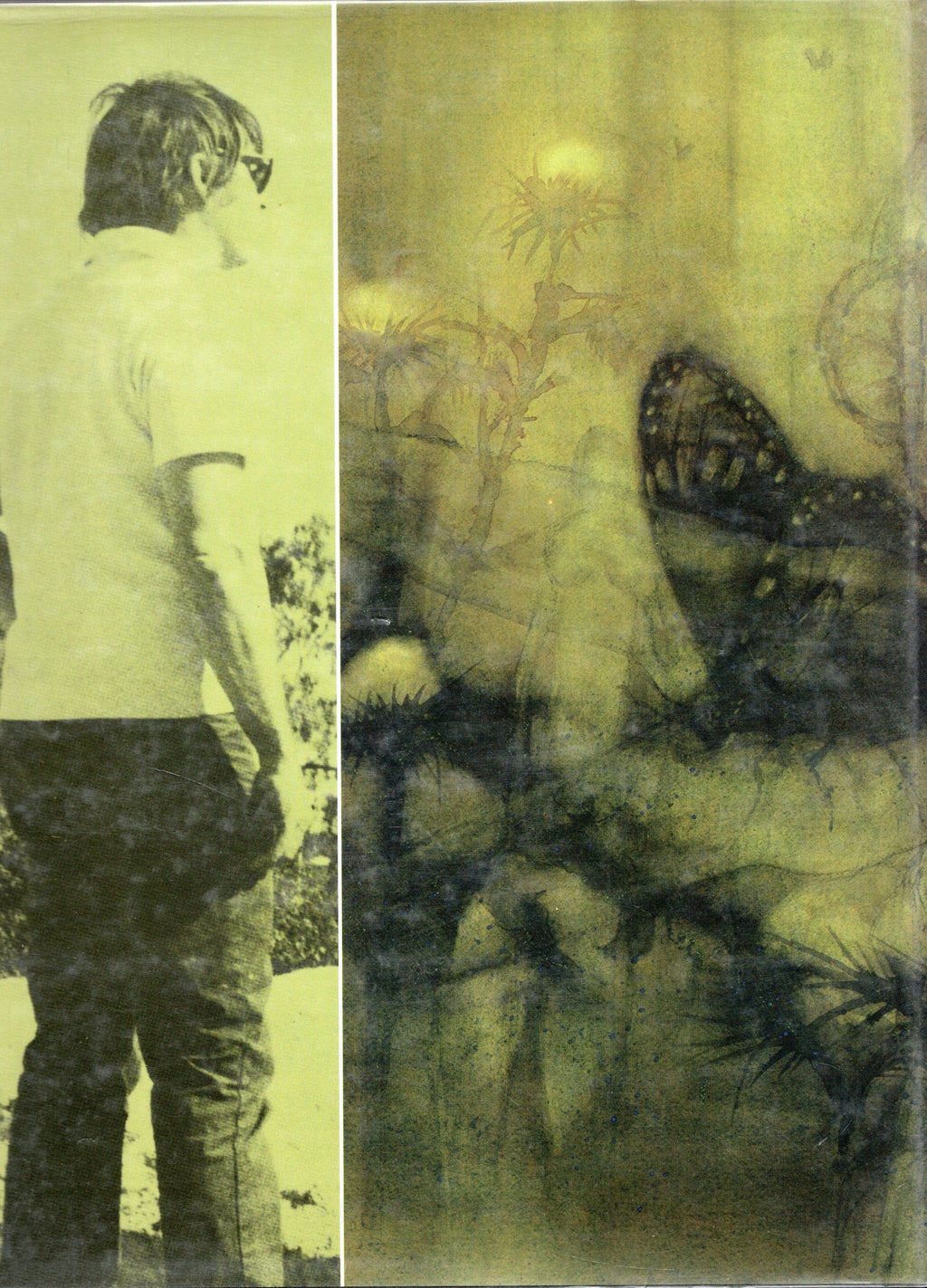 The Art of Rex Backhaus-Smith