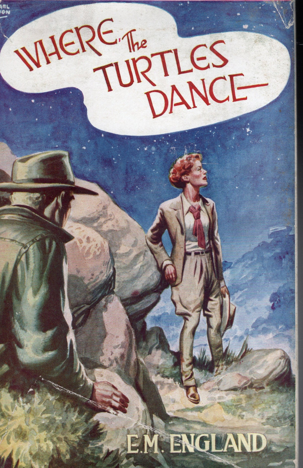 Where The Turtles Dance