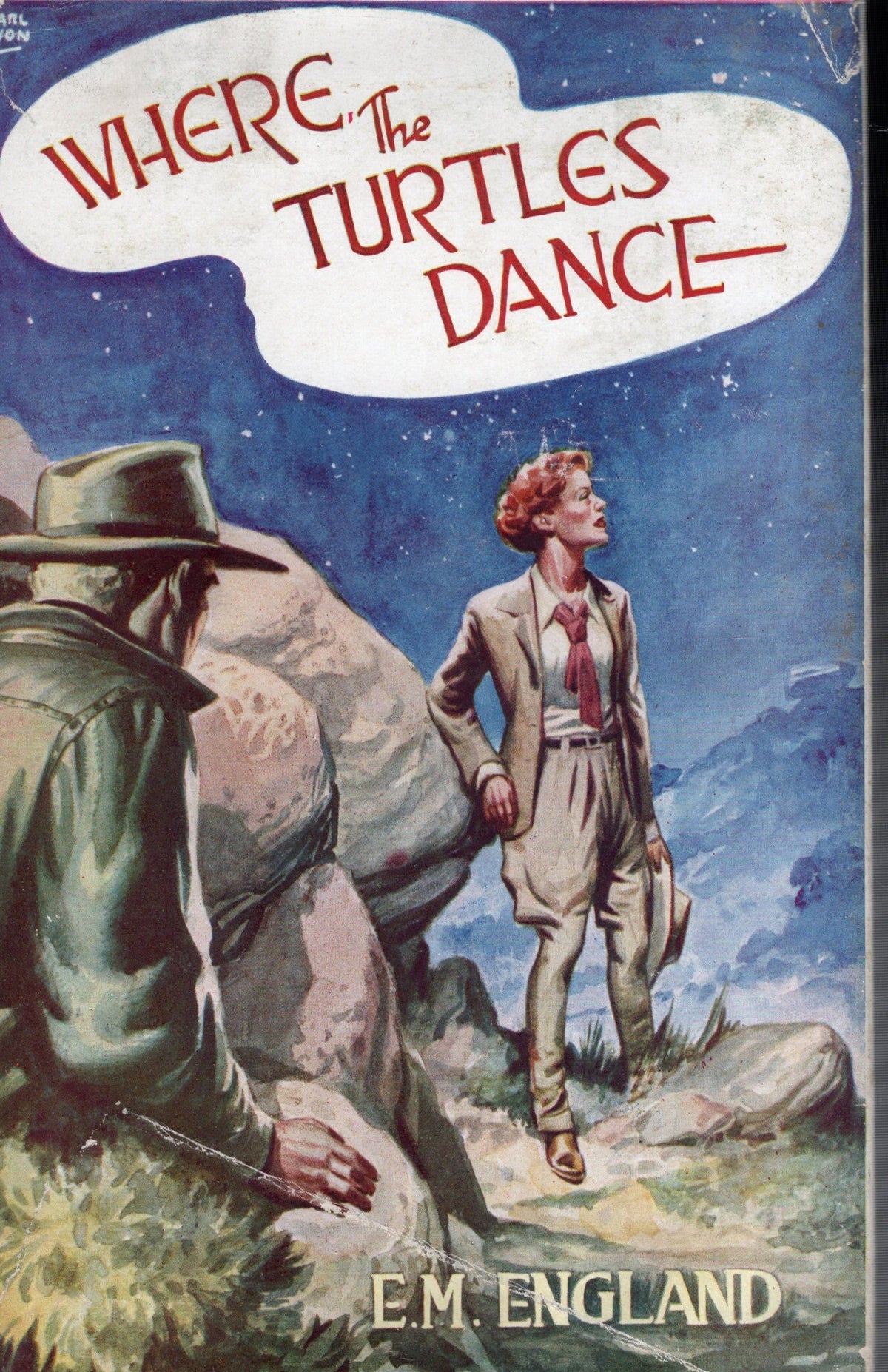 Where The Turtles Dance