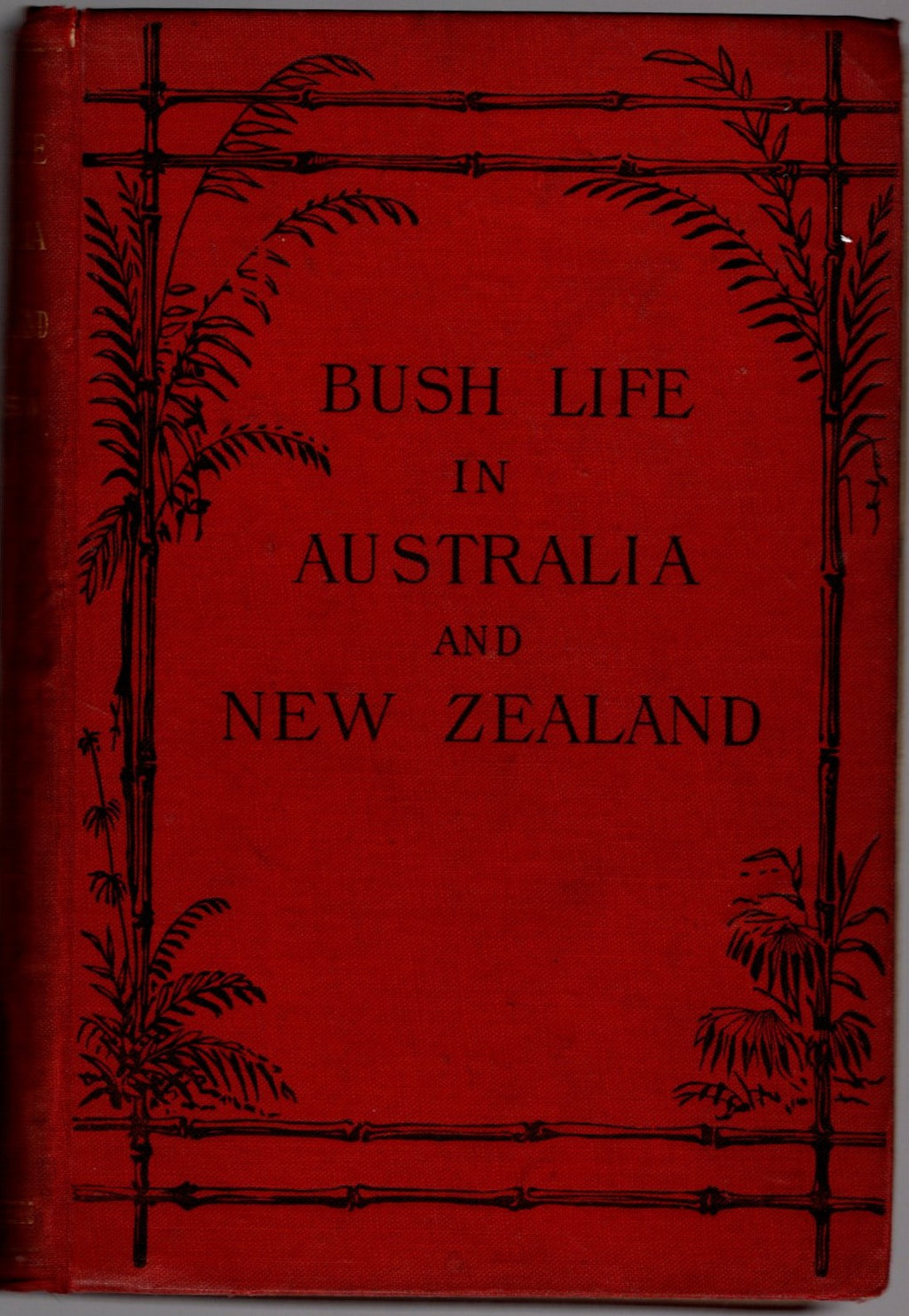 Bush Life in Australia and New Zealand