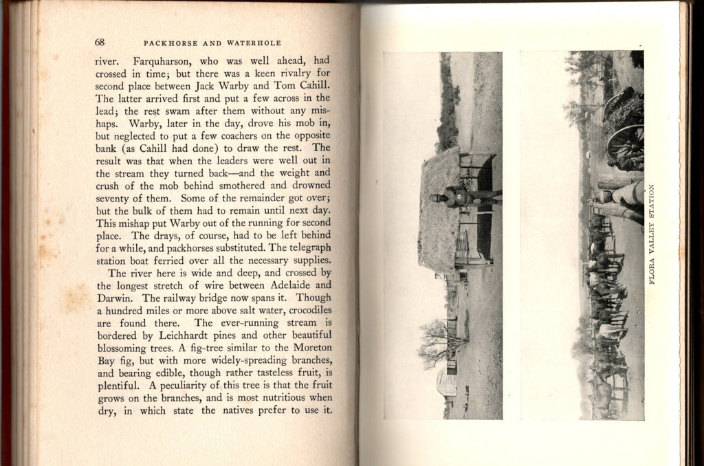 Packhorse And Waterhole