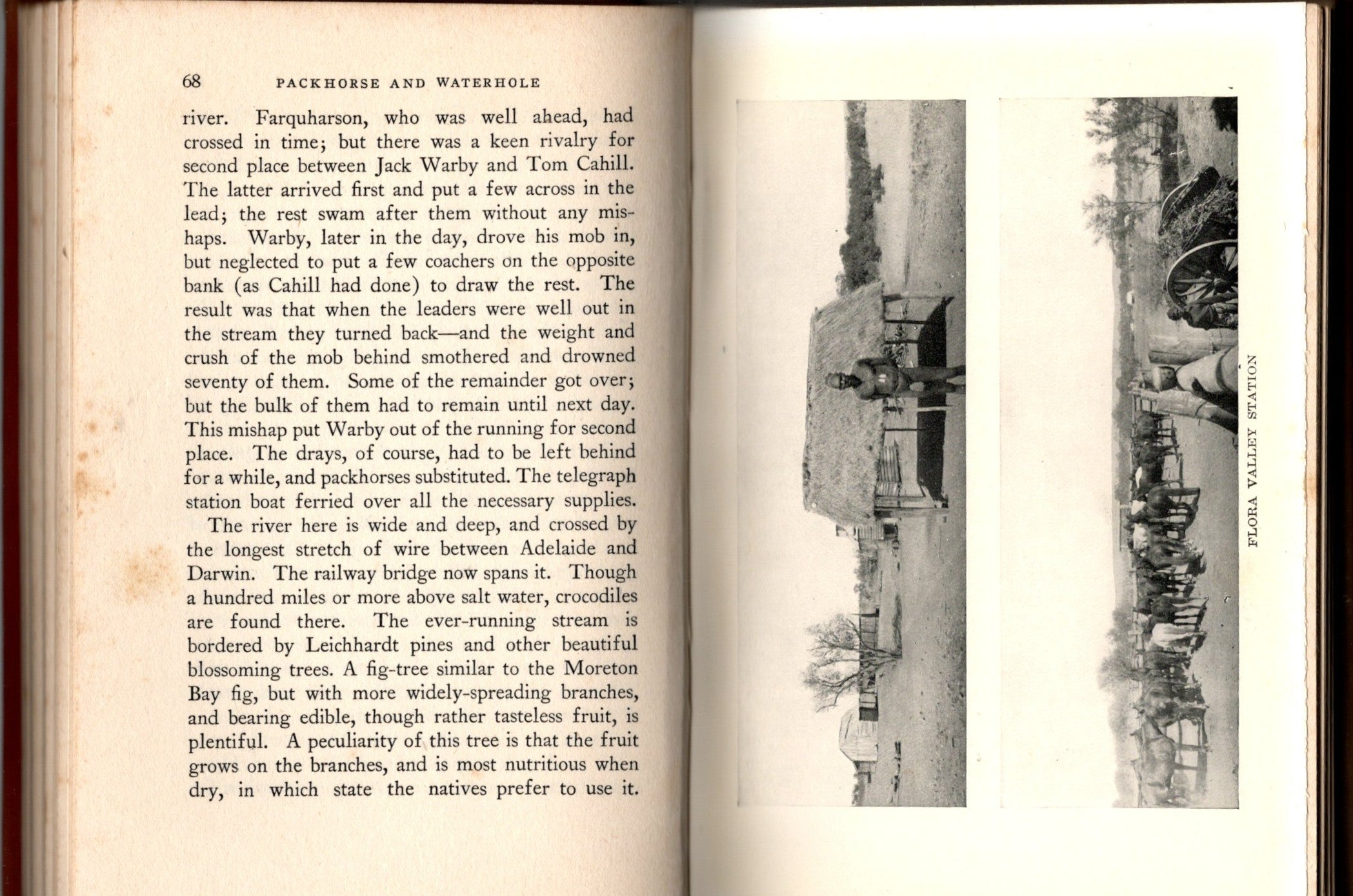 Packhorse And Waterhole