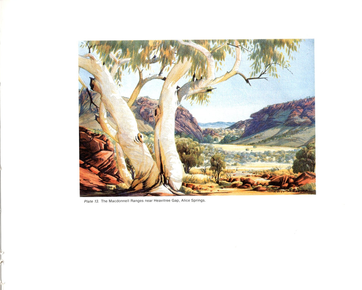 Central Australian artist Albert Namatjira