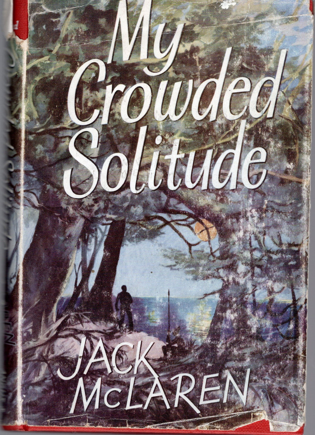 My Crowded Solitude