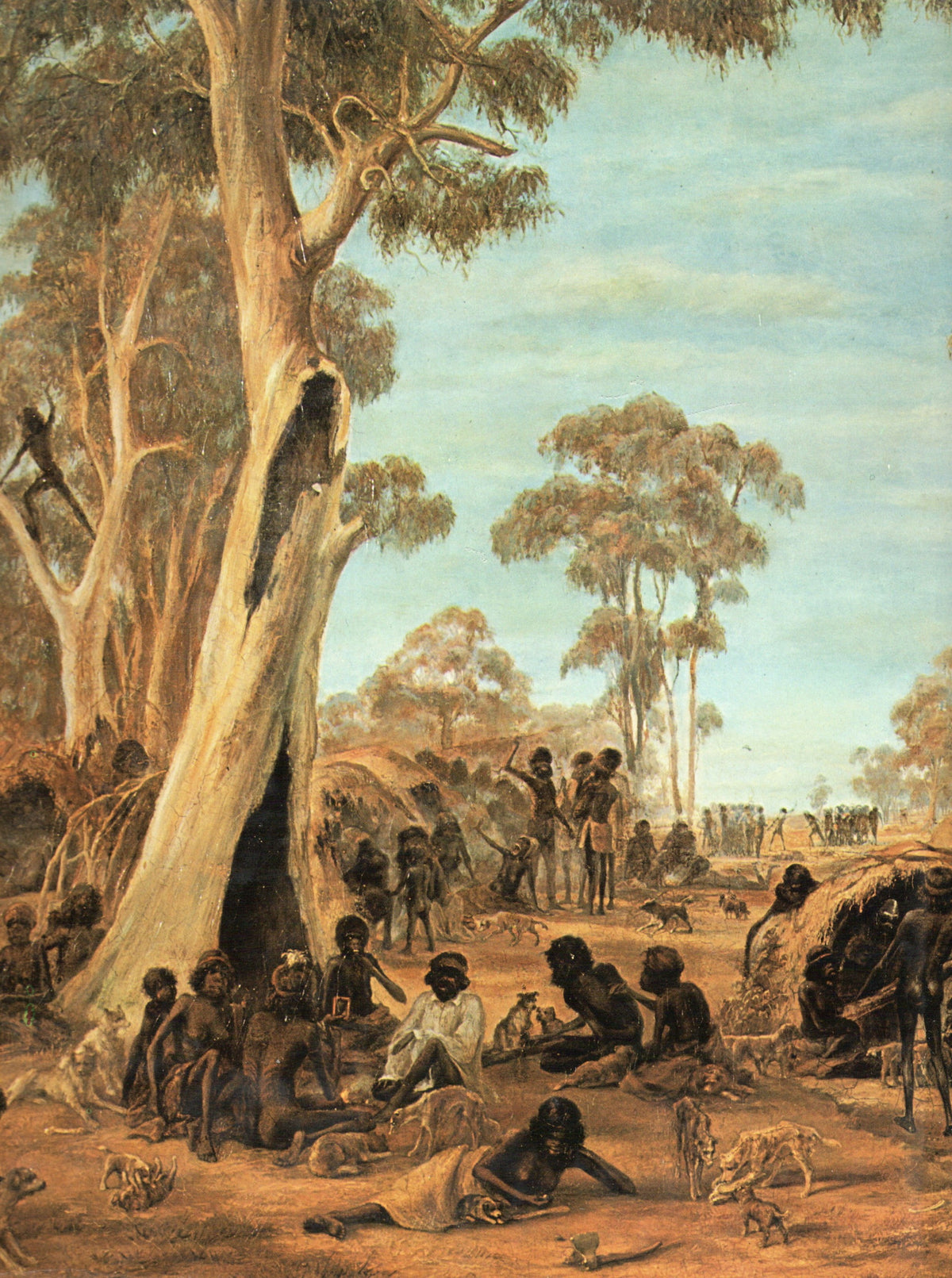 White on Black: Australian Aborigine Portrayed in Art